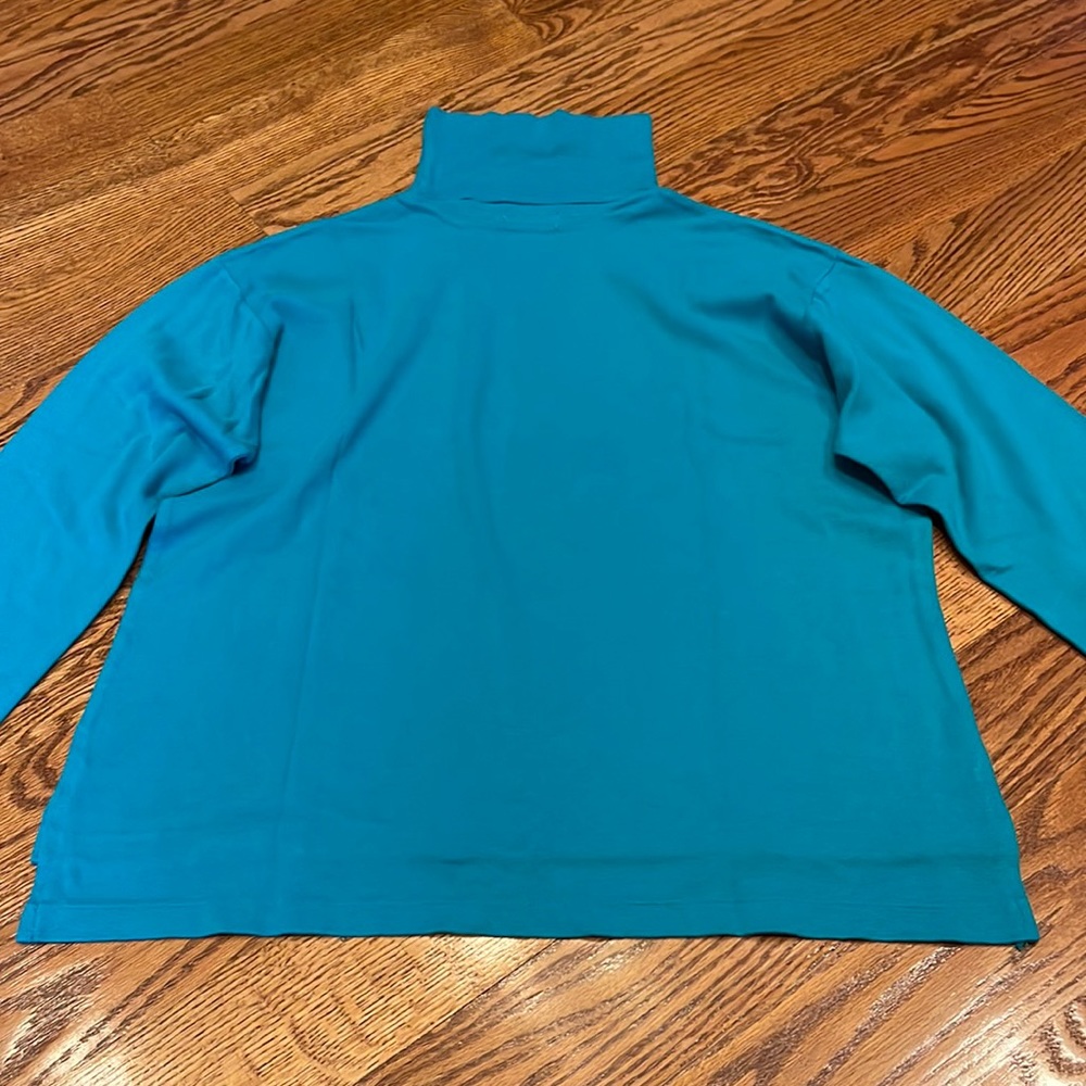 Teal Cotton Turtleneck